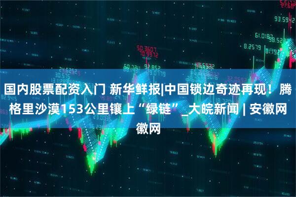 国内股票配资入门 新华鲜报|中国锁边奇迹再现！腾格里沙漠153公里镶上“绿链”_大皖新闻 | 安徽网