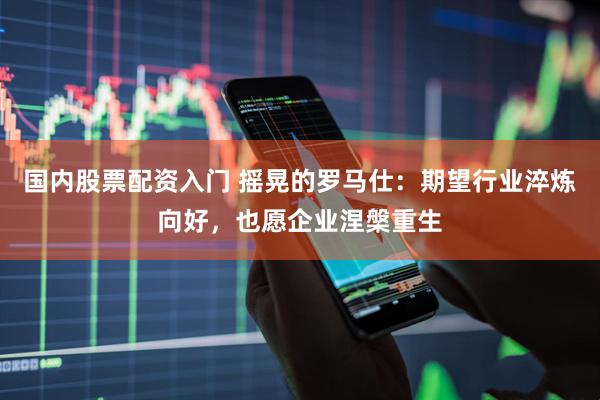 国内股票配资入门 摇晃的罗马仕：期望行业淬炼向好，也愿企业涅槃重生