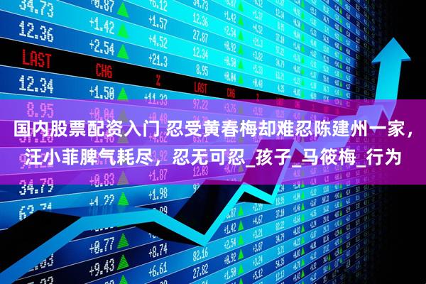 国内股票配资入门 忍受黄春梅却难忍陈建州一家，汪小菲脾气耗尽，忍无可忍_孩子_马筱梅_行为