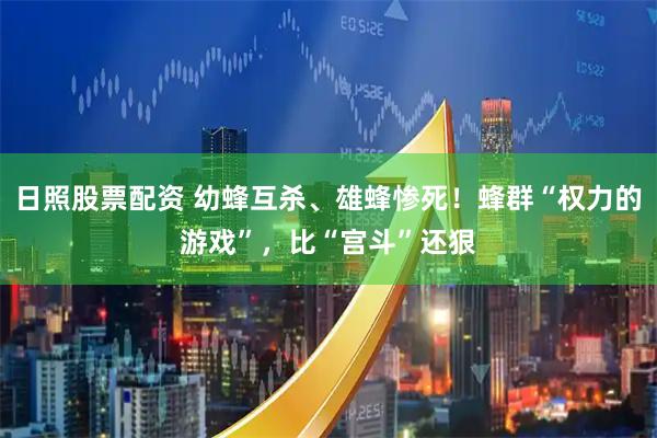日照股票配资 幼蜂互杀、雄蜂惨死！蜂群“权力的游戏”，比“宫斗”还狠
