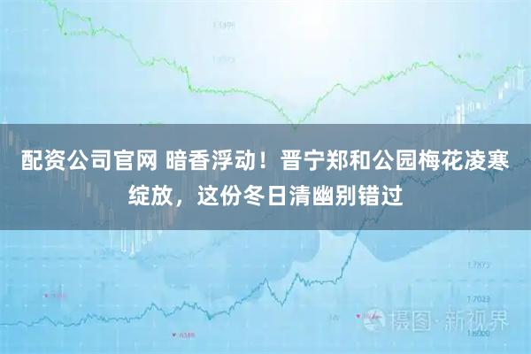 配资公司官网 暗香浮动！晋宁郑和公园梅花凌寒绽放，这份冬日清幽别错过